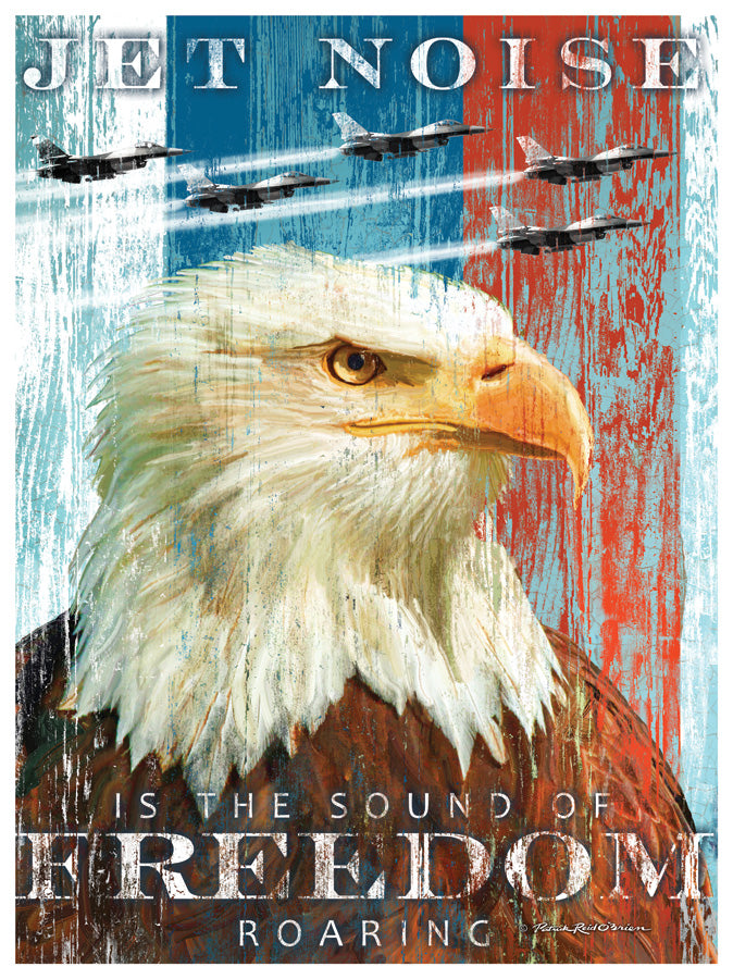 Jet Noise with Bald Eagle | Personalized Americana & Military Art