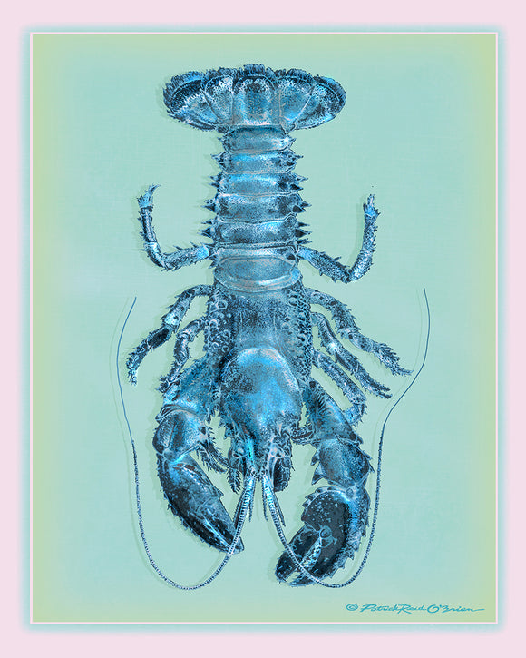 Hydro Blue Lobster