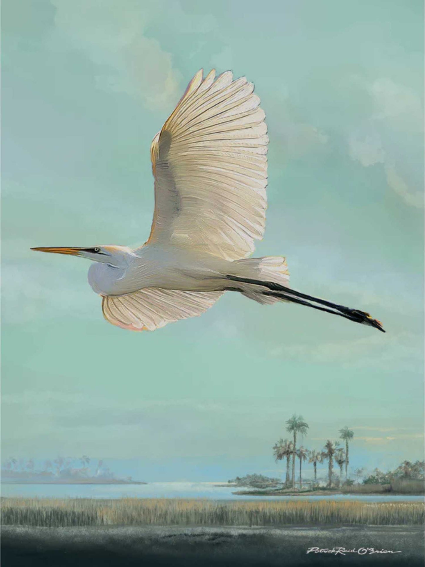 On Translucent Wings