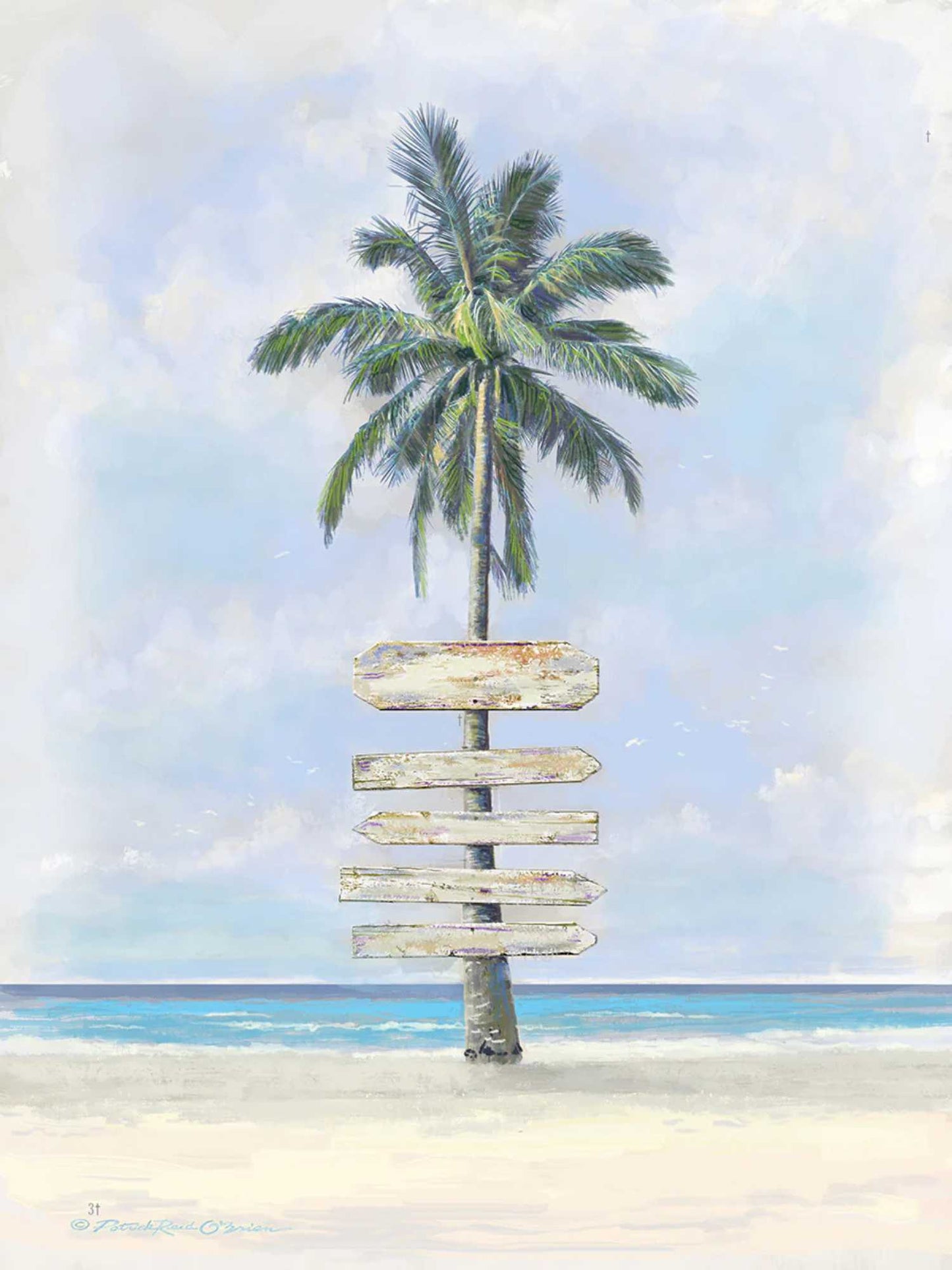 Palm Signs Shoreline