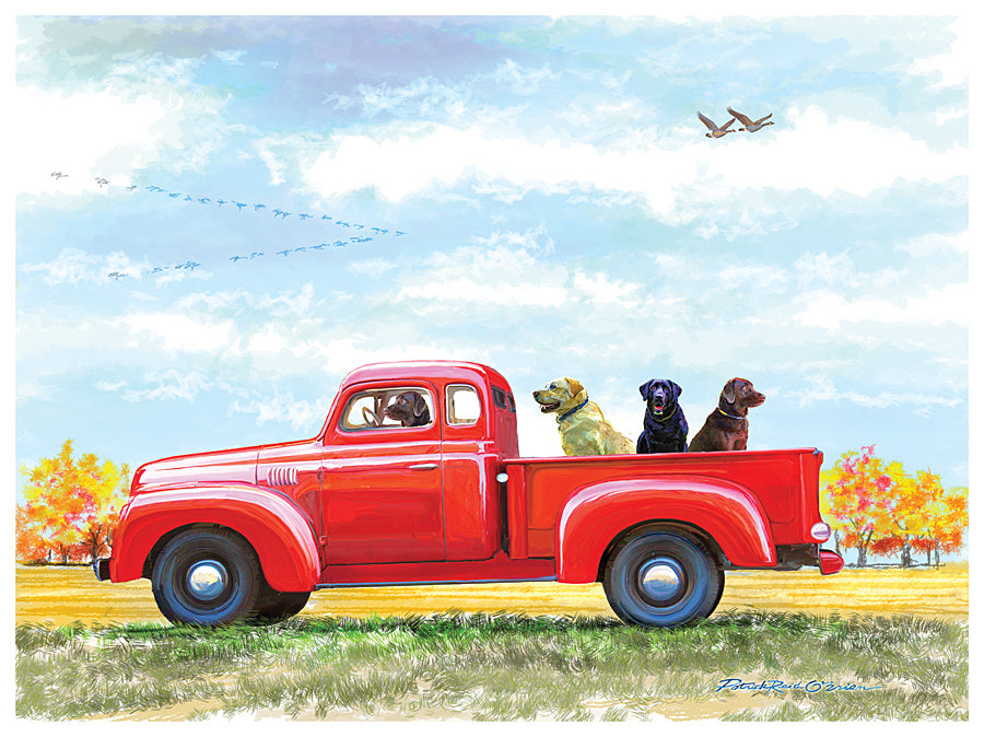 Man's Best Friend (Labs)