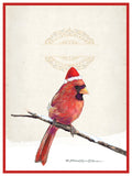 Christmas Cardinal (personalized)