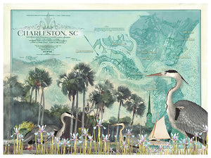 Charleston Bird Map