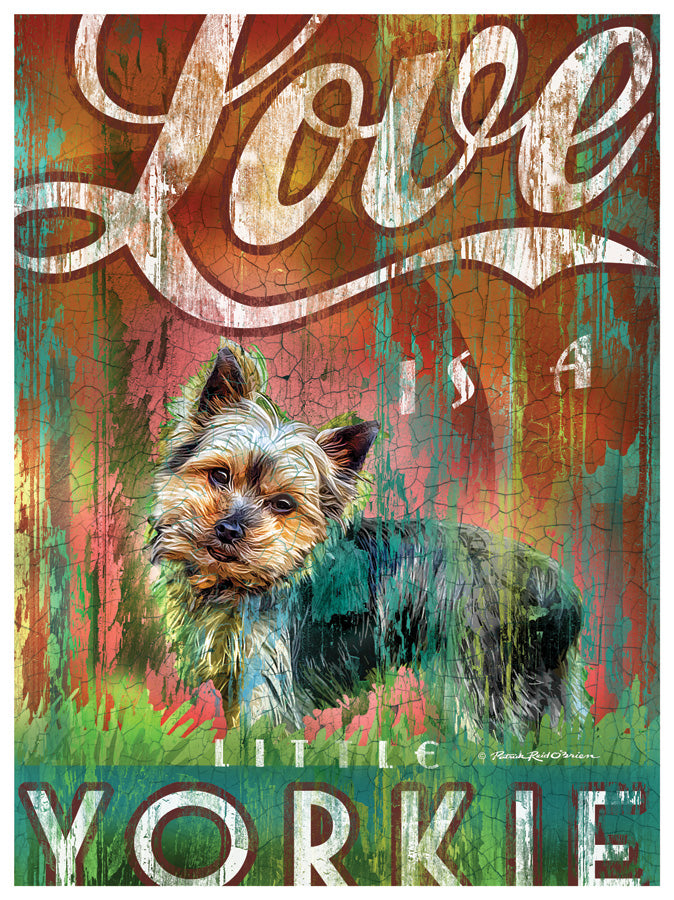 Love is a Little Yorkie
