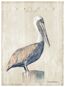 Jupiter Beach (Pelican)