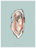 Oyster Pearl (Mid)